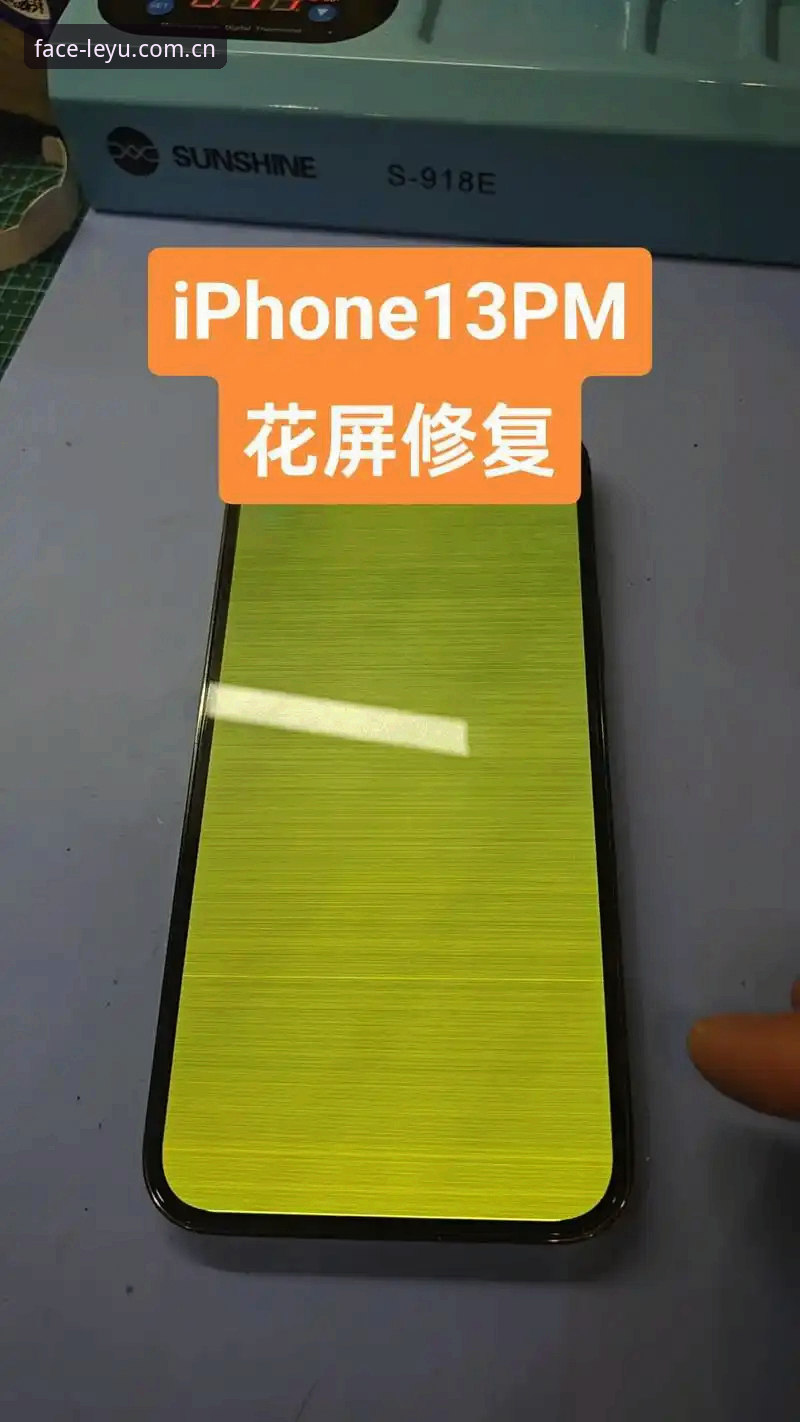 LEYU赛事数据更新下载不了怎么办 LEYU赛事数据更新下载不了怎么办?三步修复操作教程